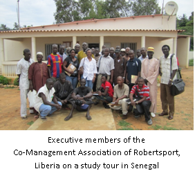 Co-Management Association in Senegal Fisheries Photo for Case Study