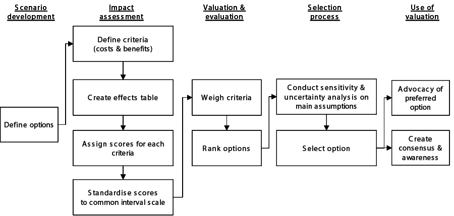 Methodological steps in multi-criteria analysis