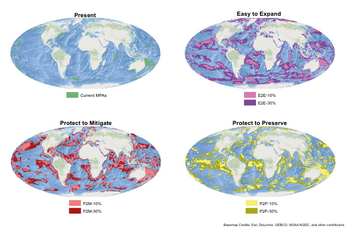 Current and future global distributions of marine protected areas