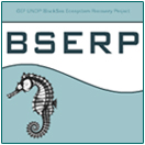 bserp logo.jpg